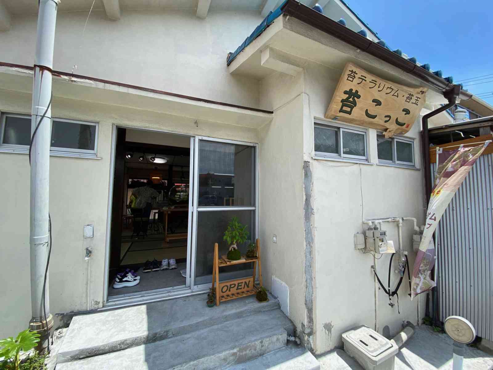 苔こっこ教室